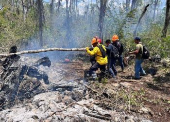 Incendios forestales siguen afectando a hectáreas en Quintana Roo