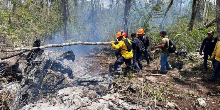 Incendios forestales siguen afectando a hectáreas en Quintana Roo