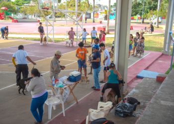 Gran respuesta a jornada de vacunación antirrábica