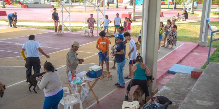 Gran respuesta a jornada de vacunación antirrábica