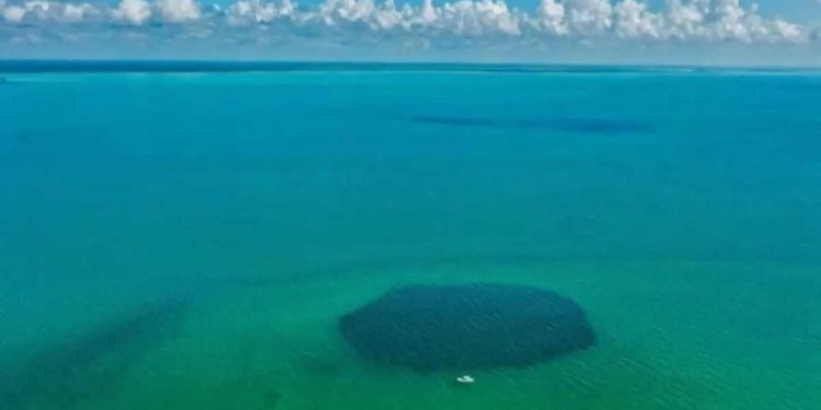 Impactante agujero azul, Taam Ja el más profundo en la bahía Chetumal