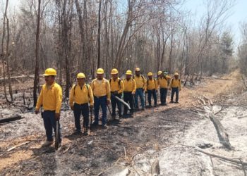 Trabajan de manera coordinada para el combate de incendios forestales en Quintana Roo