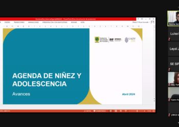 Secretaría Ejecutiva del SIPINNA intercambia buenas prácticas para garantizar a niñas, niños y adolescentes el acceso a la justicia
