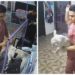 Reviven momento en el que un trabajador de estética golpea a un perro en León