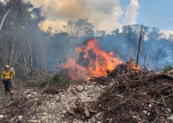 Incendios forestales afectan a más de dos mil 600 hectáreas en Quintana Roo