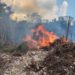 Incendios forestales afectan a más de dos mil 600 hectáreas en Quintana Roo