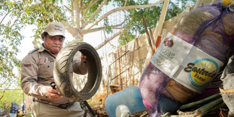 Mantener patios limpios es clave para prevenir el dengue y mejorar la calidad de vida