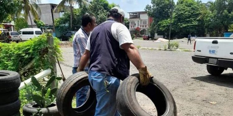 Avanza descacharrización para prevenir el dengue en Centro