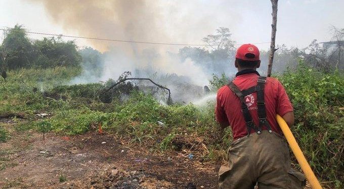 Incendios consumen 45 hectáreas en Tenosique; relleno sanitario afectado en Teapa