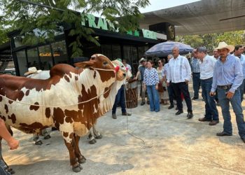 Ganaderos fortalecen lazos de amistad y fraternidad, en la Feria Tabasco 2024