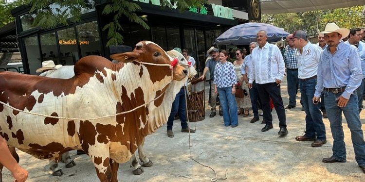 Ganaderos fortalecen lazos de amistad y fraternidad, en la Feria Tabasco 2024