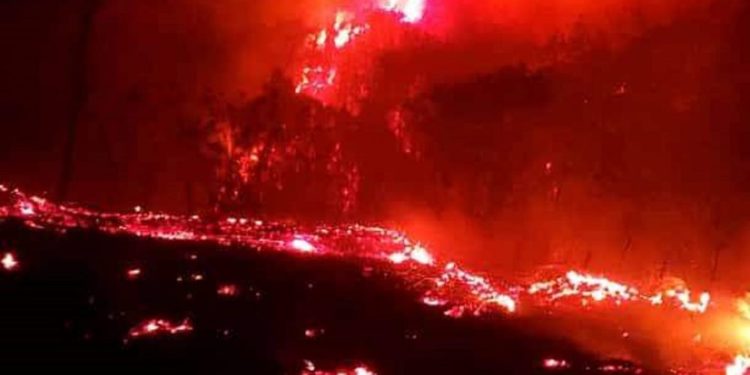 Incendios en Chiapas se extienden a Zonas de Tacotalpa