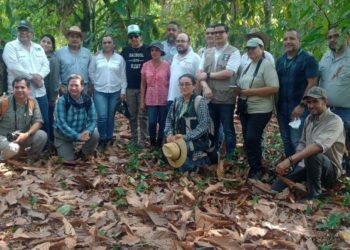 Crean protocolo de atención para el Mono Saraguato en Tabasco