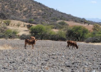 Protección Civil de Tabasco insta a cuidar el agua en temporada de estiaje