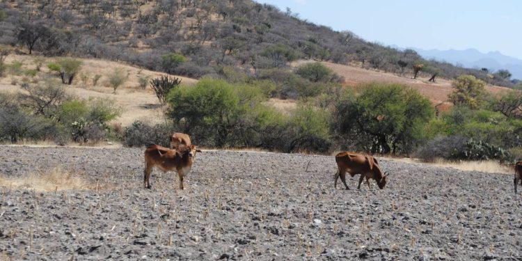 Protección Civil de Tabasco insta a cuidar el agua en temporada de estiaje