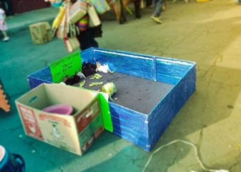 Ciudadanos piden que no se utilicen conejos como premios en la Feria Tabasco