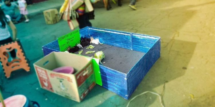 Ciudadanos piden que no se utilicen conejos como premios en la Feria Tabasco