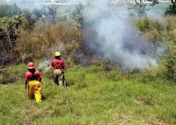 Protección Civil de Centro rescata más de 80 animales en incendios este año