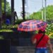 Persisten lluvias y altas temperaturas en Tabasco según Conagua