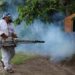 Programa de nebulización contra el dengue en Centro comienza este lunes