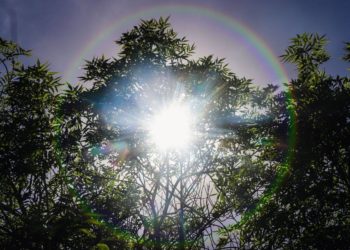 Alerta protección civil sobre daños por exposición al sol y altas temperaturas