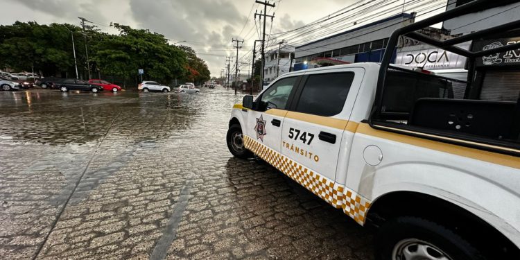 Activa SMSCyT de Benito Juárez operativo especial