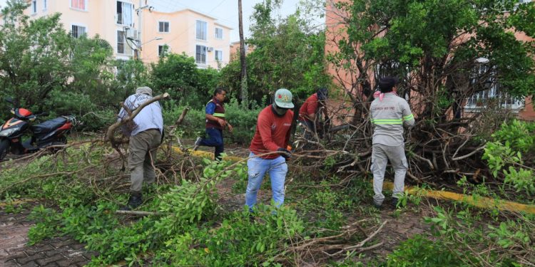 Gobierno eficiente en atención a lluvias en Cancún con programa «Reporta y Aporta»