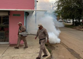 SESA y Sindicato de Vectores coordinados para combatir el dengue y otras enfermedades