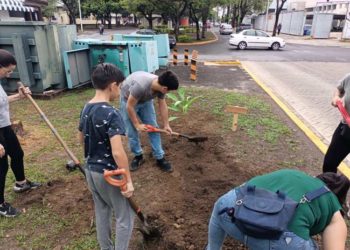 Colectivo «Sábado en Verde» lleva a cabo jornada de reforestación urbana