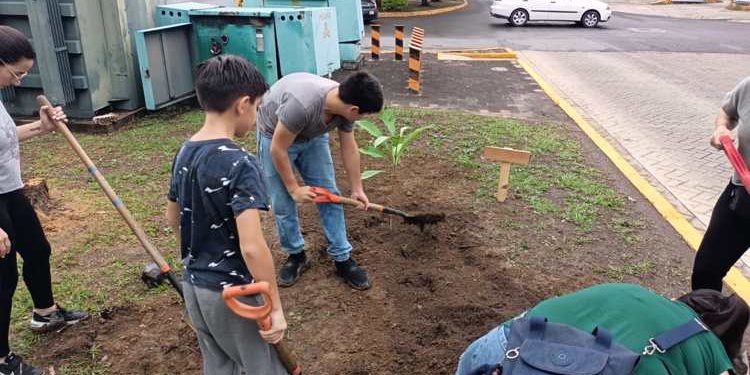 Colectivo «Sábado en Verde» lleva a cabo jornada de reforestación urbana