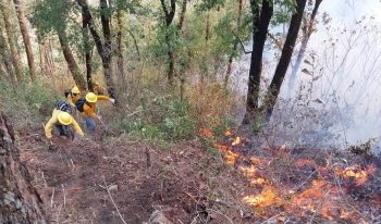 Gobierno del Estado coordina acciones para combatir incendios forestales