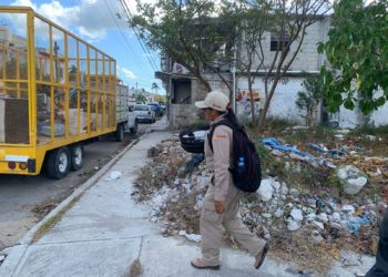 SESA invita a identificar y eliminar criaderos de moscos para prevenir el dengue