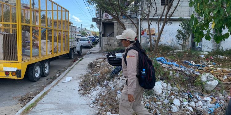 SESA invita a identificar y eliminar criaderos de moscos para prevenir el dengue