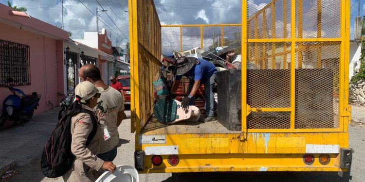 SESA aplica estrategia contra el dengue con participación ciudadana