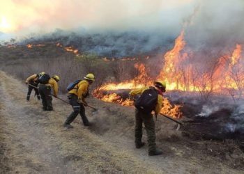 Dos incendios sofocados en Tenosique y dos activos, reporta Conafor