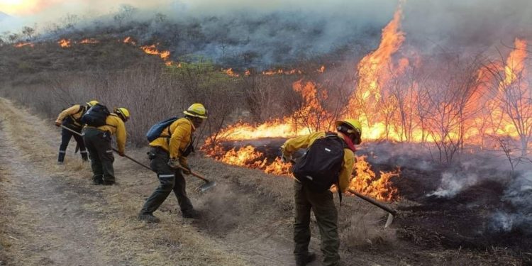 Dos incendios sofocados en Tenosique y dos activos, reporta Conafor