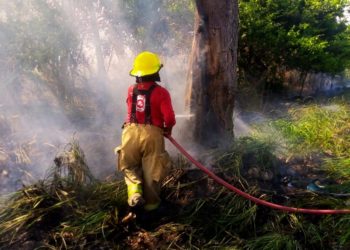 Exhorta PVEM a Protección Civil a generar estrategias para prevenir y atender incendios