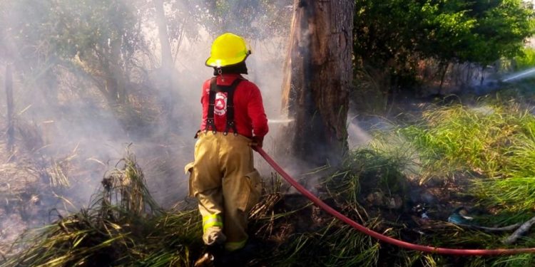 Exhorta PVEM a Protección Civil a generar estrategias para prevenir y atender incendios