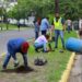 Reforestan Villahermosa con la siembra de 350 árboles