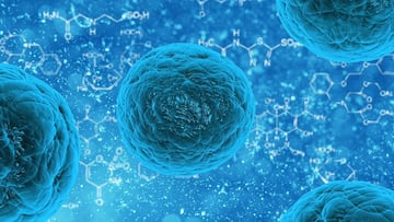 Aumenta a 77 muertos por bacteria ‘Carnívora’ en Japón