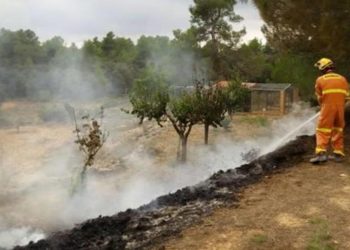 Tabasco registra cerca de 900 incendios en lo que va del año: Protección Civil