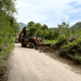 Autoridades trabajan para liberar camino a Buena Vista en Tacotalpa tras deslizamiento de tierra