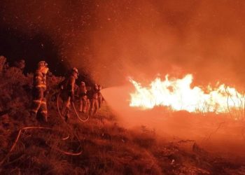 Destina Protección Civil brigadistas para combatir incendio en reserva de Boca del Cerro