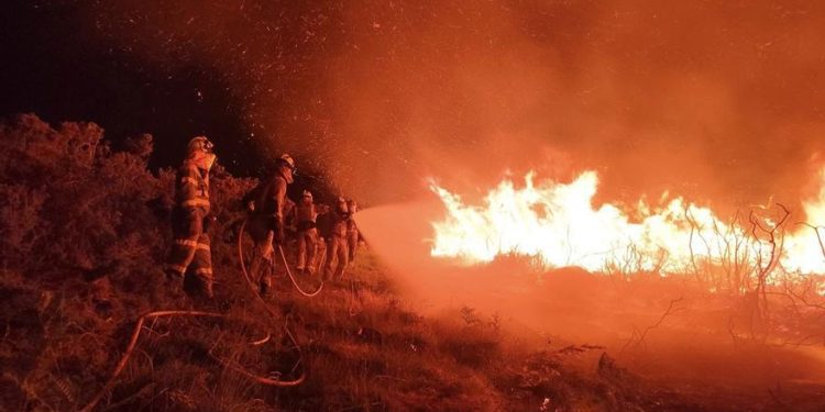 Destina Protección Civil brigadistas para combatir incendio en reserva de Boca del Cerro