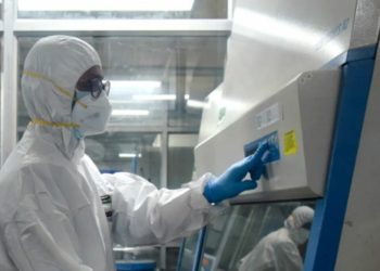 Reportan primer caso de muerte por gripe aviar en México