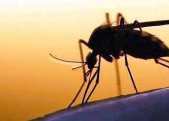 Anuncia Salud operativo de nebulización terrestre contra el dengue en Paraíso del 9 al 11 de Julio
