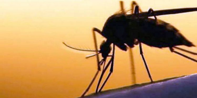 Anuncia Salud operativo de nebulización terrestre contra el dengue en Paraíso del 9 al 11 de Julio