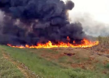 Nuevo incendio forestal se propaga desde Chiapas hacia Tabasco