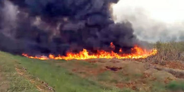 Nuevo incendio forestal se propaga desde Chiapas hacia Tabasco