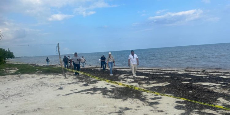 Fiscalía 4T de Quintana Roo es denunciada por prestarse a despojar terrenos en Puerto Morelos